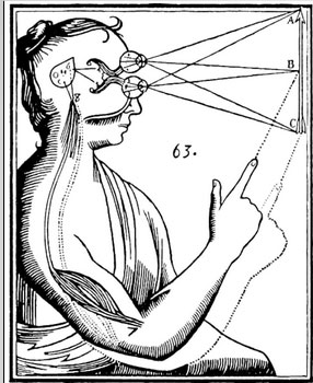 The mouth is rich in information. Descartes believed that the pituitary gland was the part of the brain where the self lived.