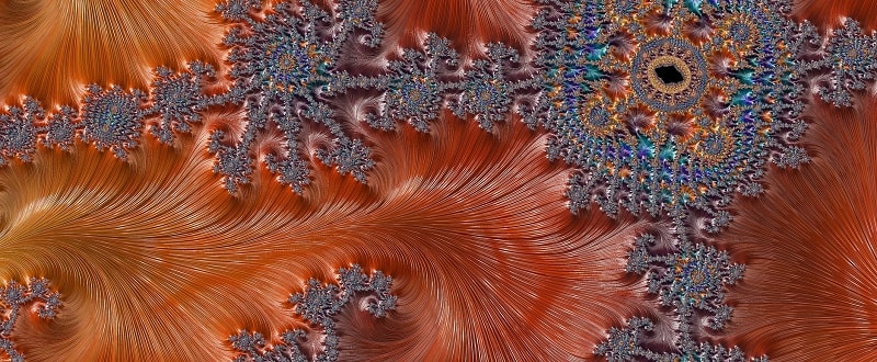 The mouth is complex like a Mandelbrot fractal. By using JAWPEER you can explore the unknown senses of the mouth.
