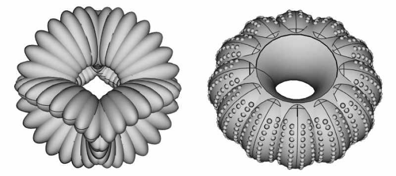 The invention of elastic chewing gum reveals that different designs are associated with various cognitive facilities.