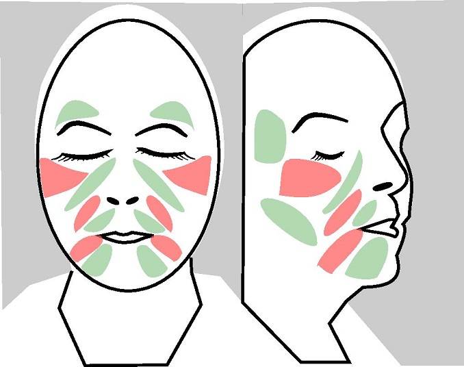 JAWPEER and Face Yoga in concert can make wrinkles in the red spots vanish. The training can also boost collagen formation in the green areas.